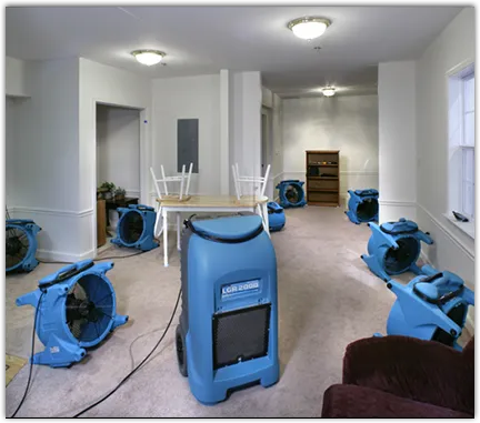 Leak Detection & Repair in Lindstrom, MN