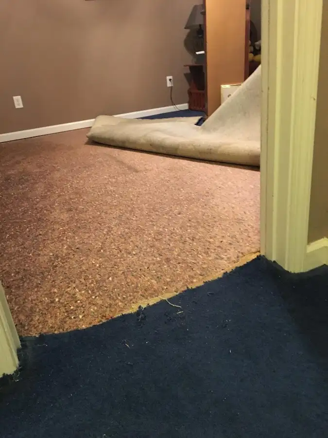 Carpet pad removal revealing water damage during Drying & Dehumidification in Lindstrom