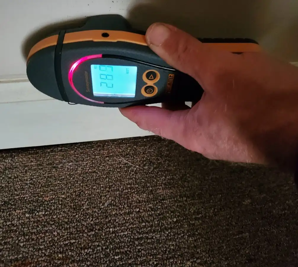 Moisture detection at baseboard during Sewage Cleanup & Sanitation in Lindstrom